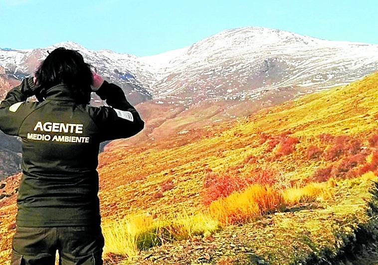 La primera Ley de Agentes de Medio Ambiente les otorga labores policiales